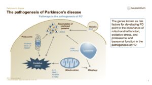 The pathogenesis of Parkinson’s disease